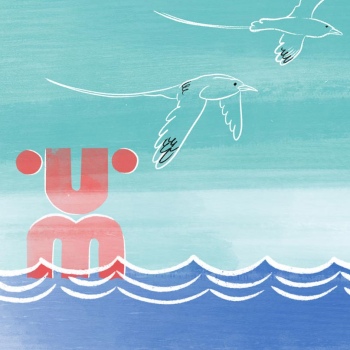 Illlustration with logo of the museum standing in water and two birds