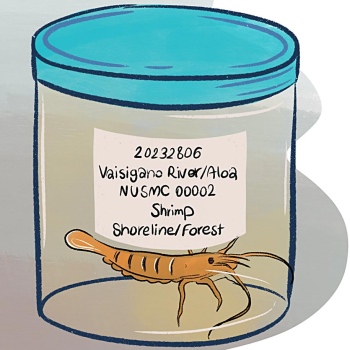 Illustration of a shrimp in a glas with a label