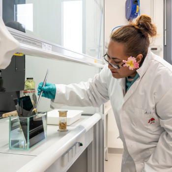 A woman in a white lab coat is carefully putting a crab in a glas container